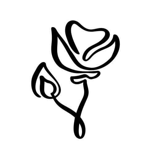490x490 Rose Flower Concept Logo Organic Continuous Line Hand Drawing