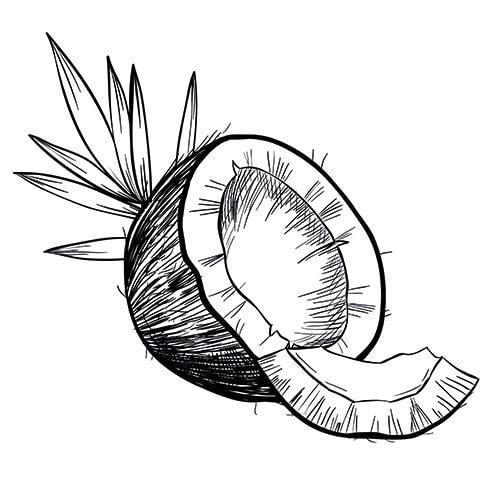 500x500 Virgin Coconut Oil