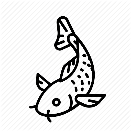 512x512 Drawing Chinese Koi Fish Transparent Png Clipart Free Download