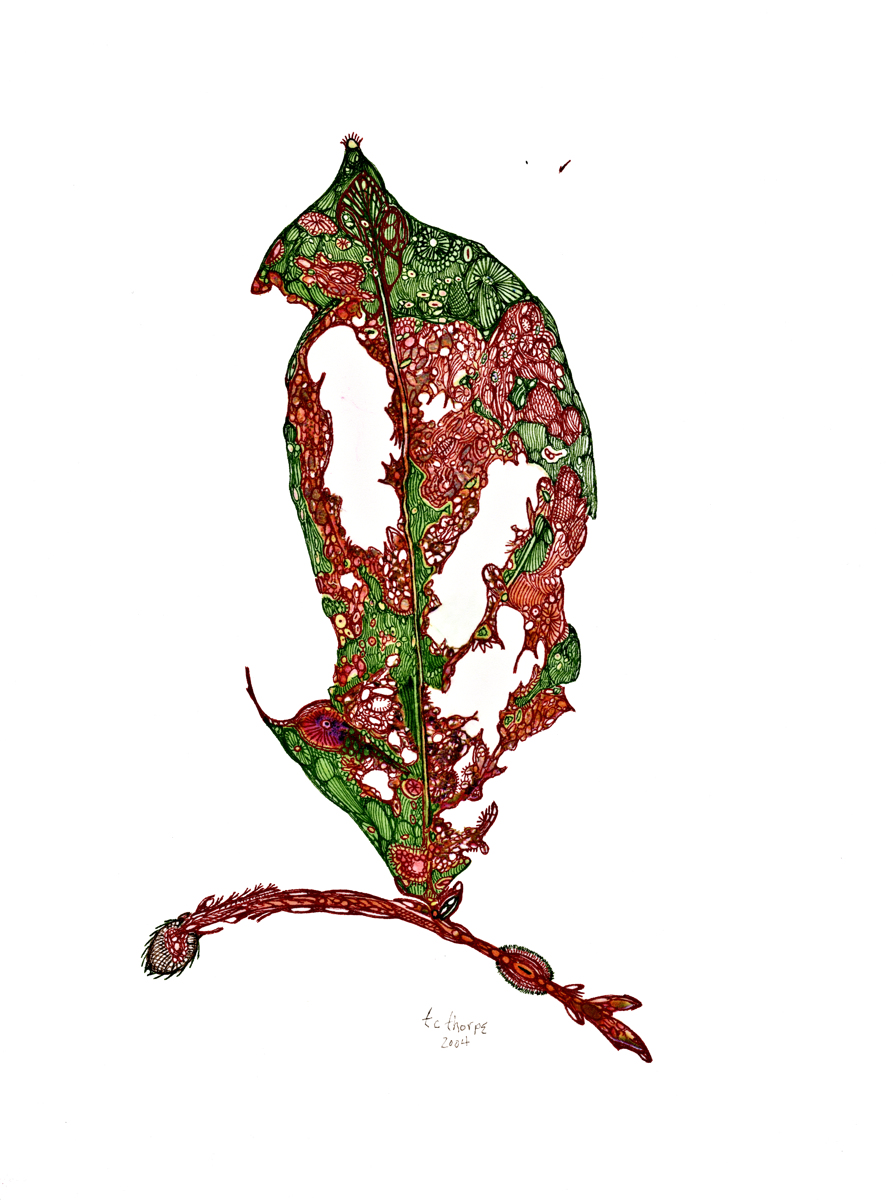 893x1200 Drawing Abstract Leaf