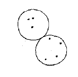 252x250 Galileo And The Stars