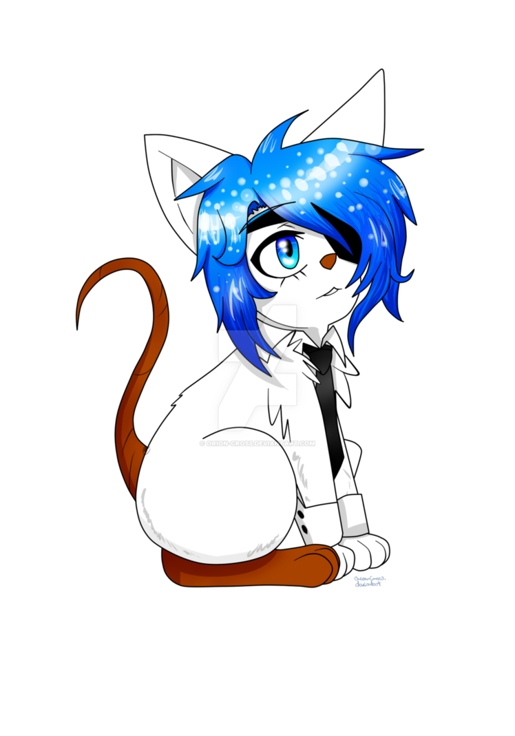 748x1069 tfm prontok