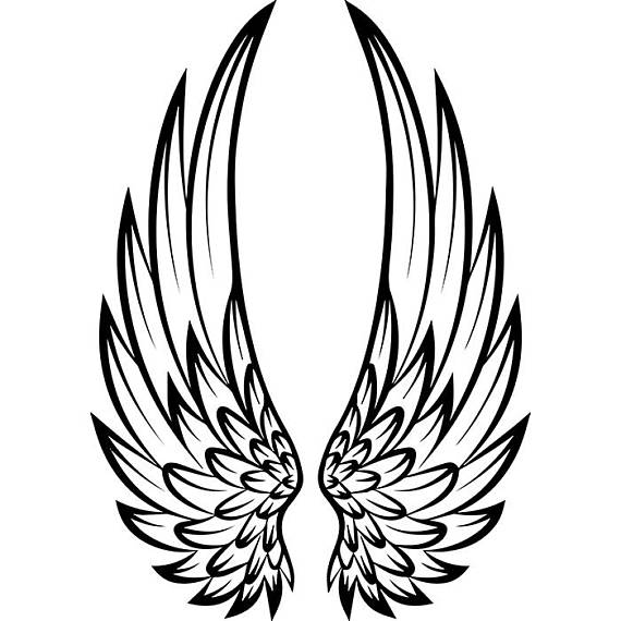 570x570 Cricut Projects Wings Drawing, Angel