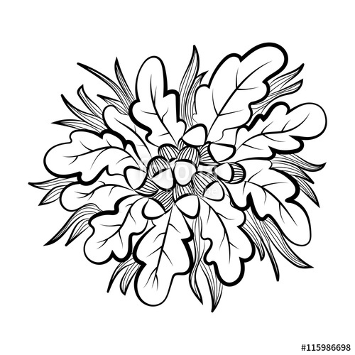 500x500 vector sketch drawing of autumn acorns and leaves floral, ornate