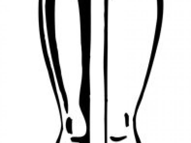 640x480 Oscar Clipart Free Clip Art Stock Illustrations