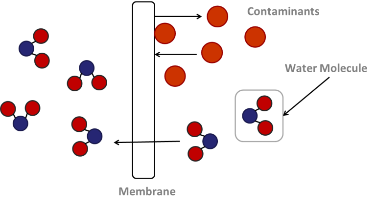 768x422 osmosis drawing semipermeable membrane transparent png clipart