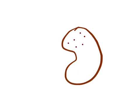 480x360 osmosis in the body