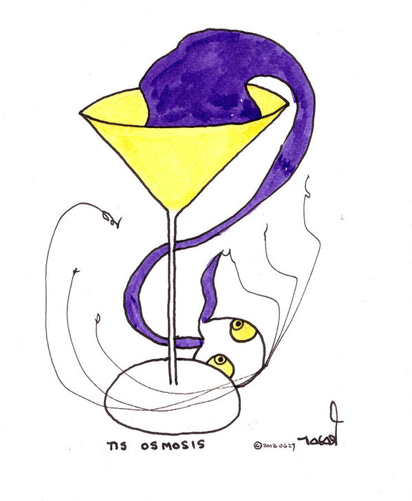 599x728 tis osmosis poster