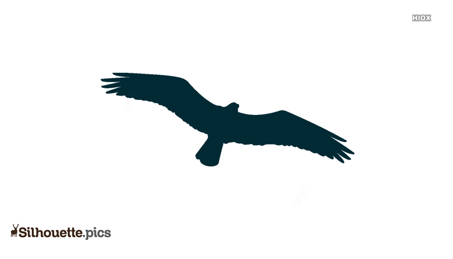 934x534 Osprey Silhouette Drawing Silhouette Pics