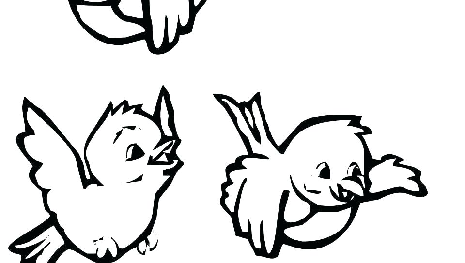 960x544 Coloring Pages Bird Coloring Pages Realistic Sheets Free