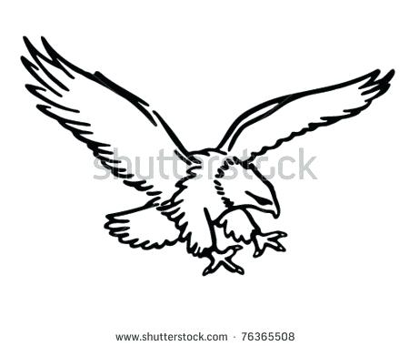 450x380 easy hawk drawing draw hawk easy hawk drawing step
