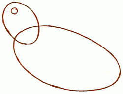 250x190 Exam Guide Online