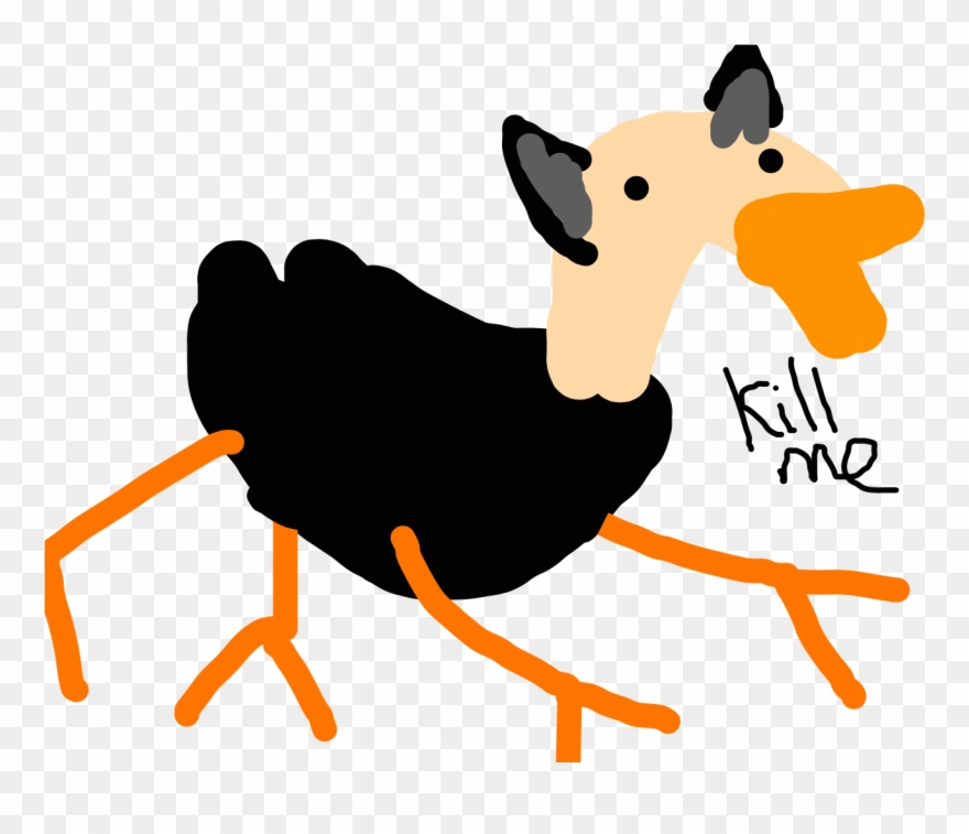 880x757 Drawing Kangaroos Leg