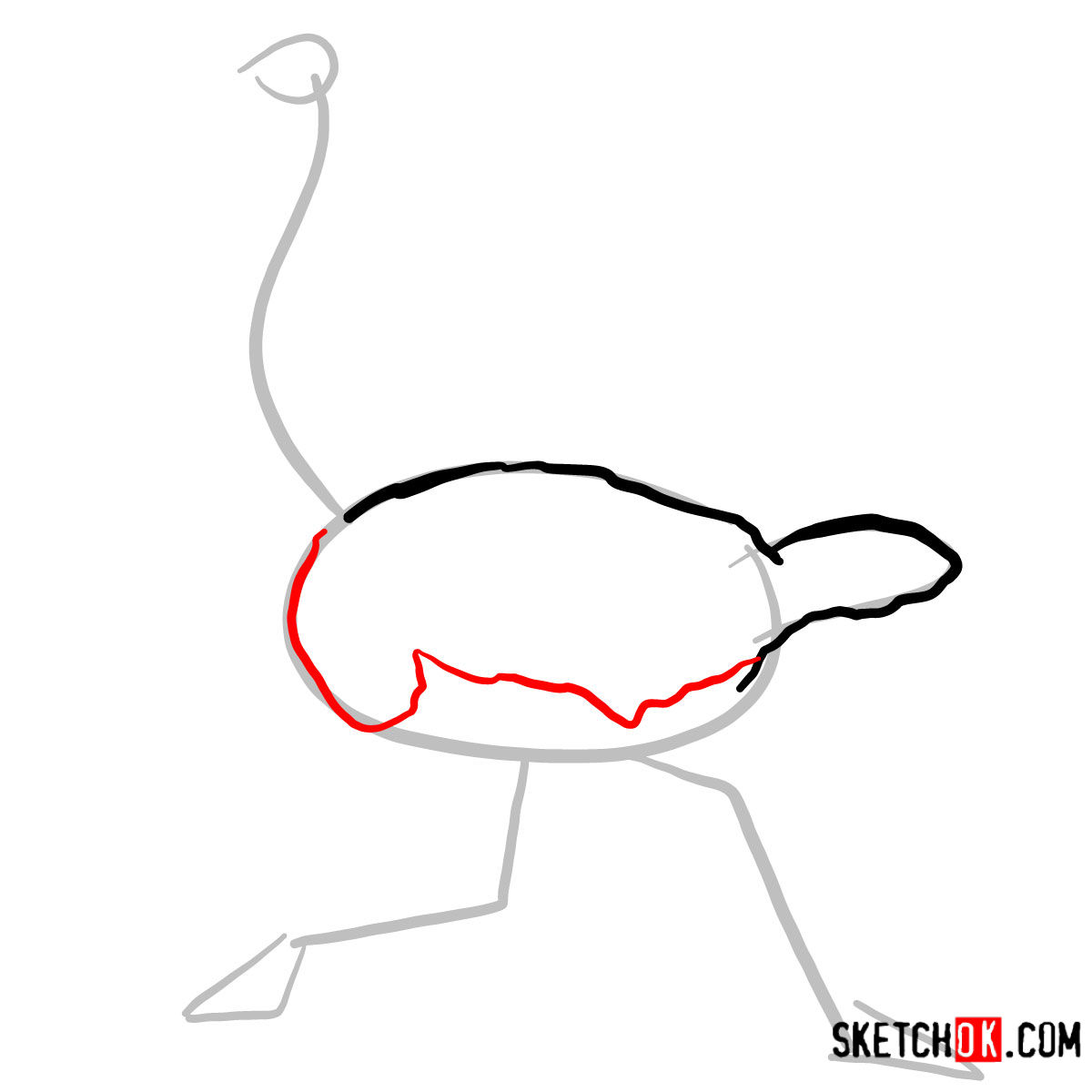 1200x1200 How To Draw An Ostrich Birds