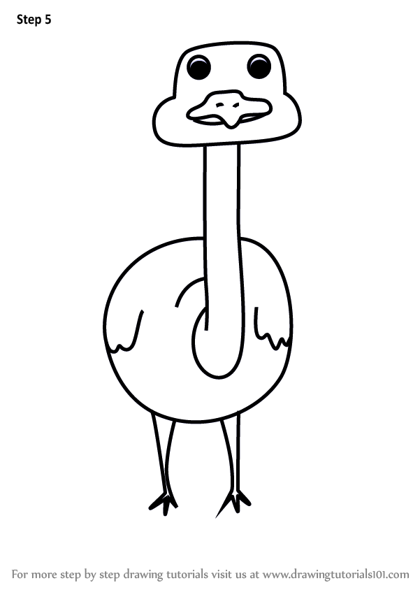 591x844 Learn How To Draw An Ostrich For Kids