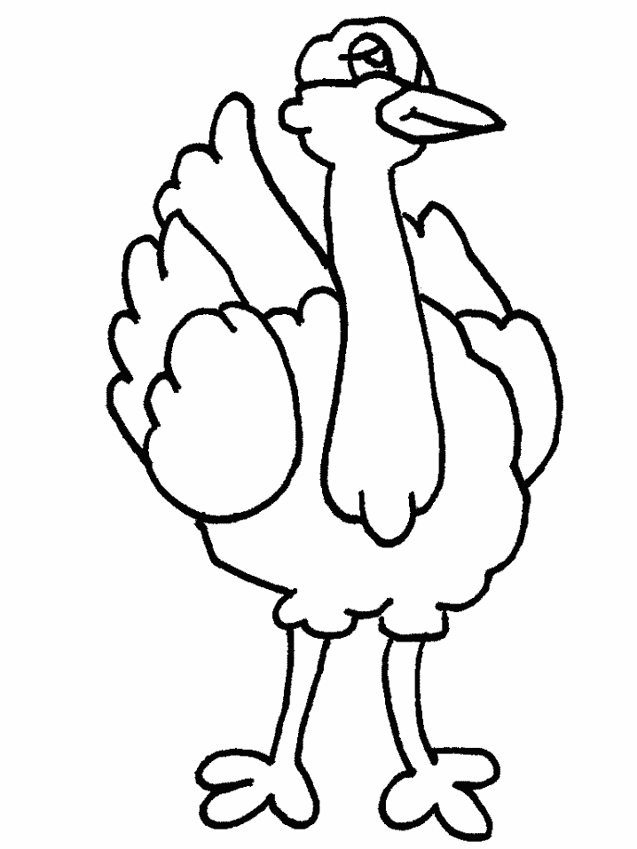 718x957 Ostrich Drawing For Kids