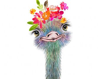 340x270 Ostrich Clipart Etsy