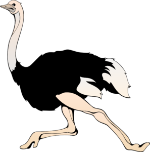 297x300 Collection Of Free Ostrich Drawing Clipart Download On Ui Ex
