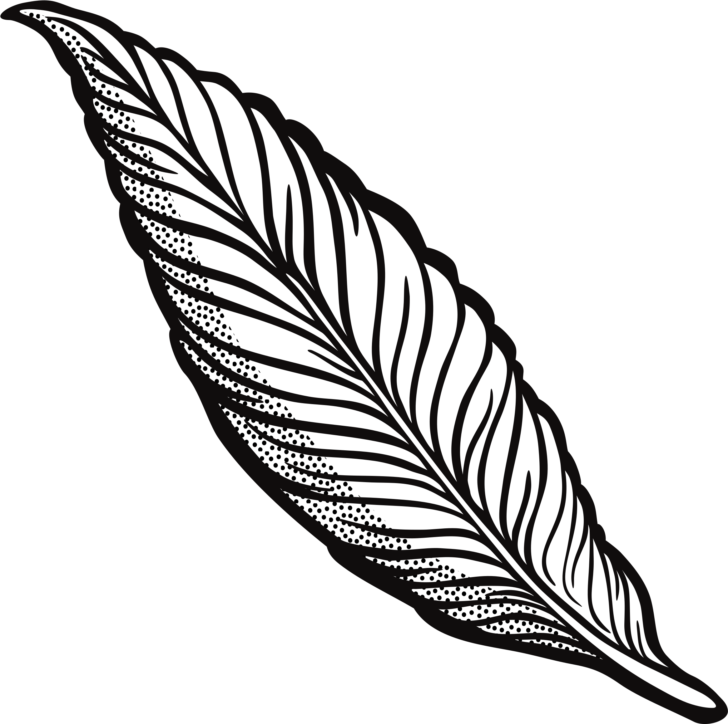 2331x2320 Hd Feather Clipart Png