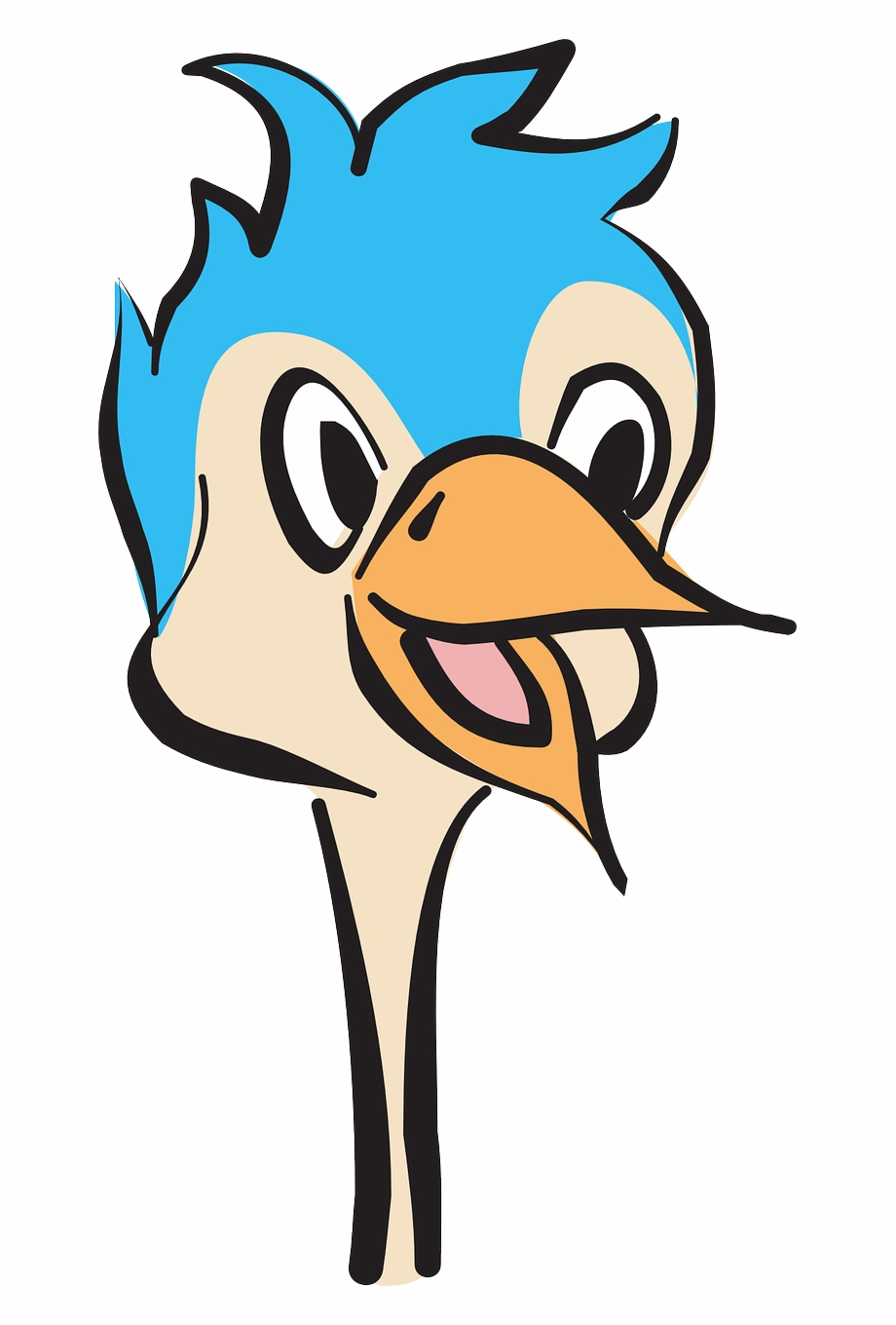 920x1360 Vector Fur Ostrich Feather