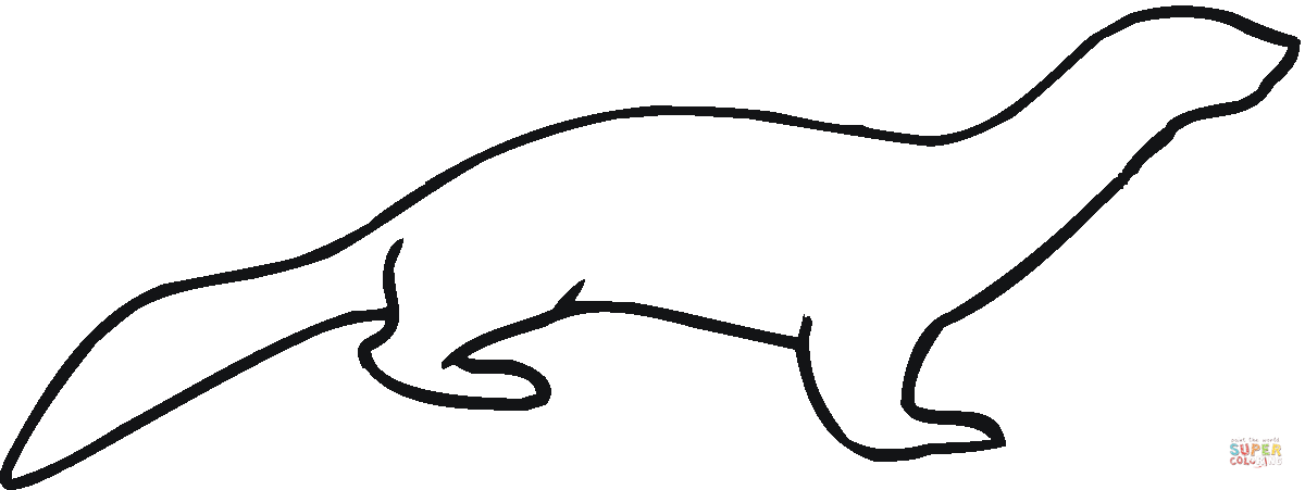 Otter Drawing