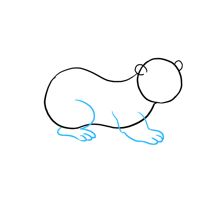 680x678 How To Draw An Otter