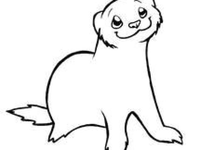 640x480 drawing of a cartoon otter best otter cartoon images