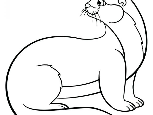 640x480 Free Otter Clipart, Download Free Clip Art