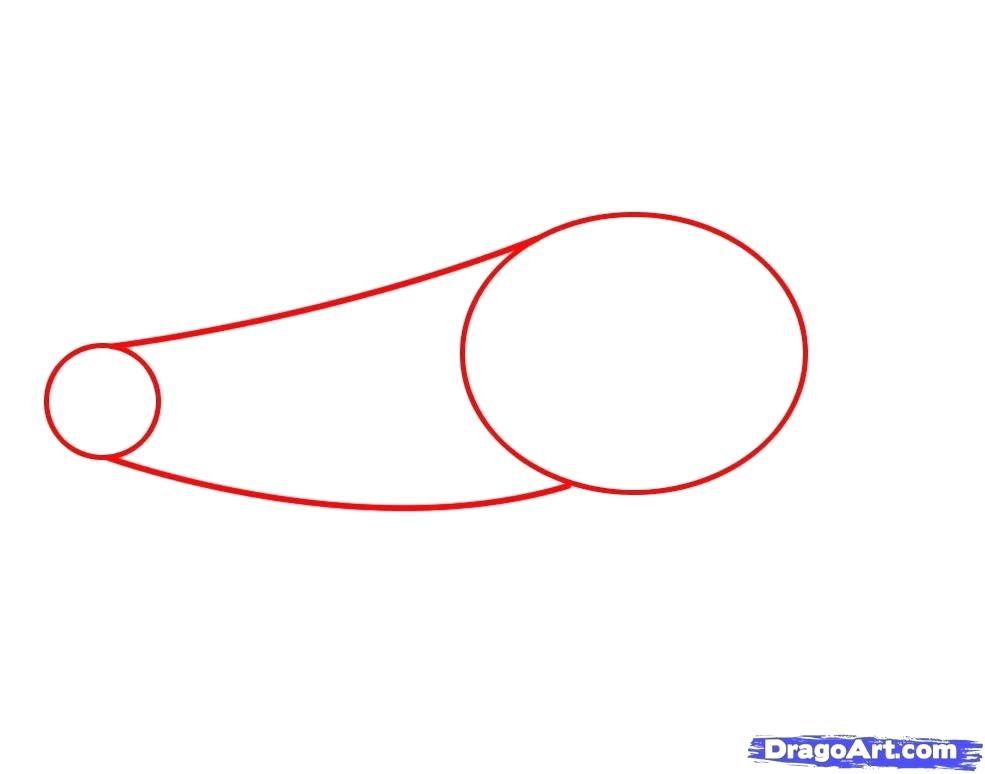 985x774 How To Draw An Otter Step