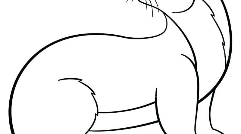 800x445 Otter Clipart