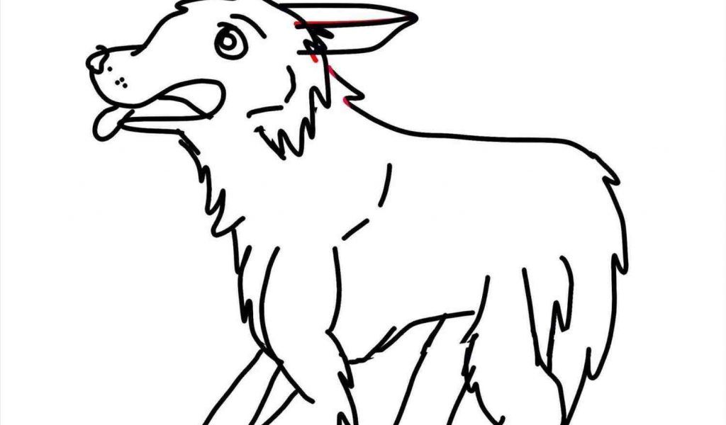 1024x600 Otter Clipart Easy Draw