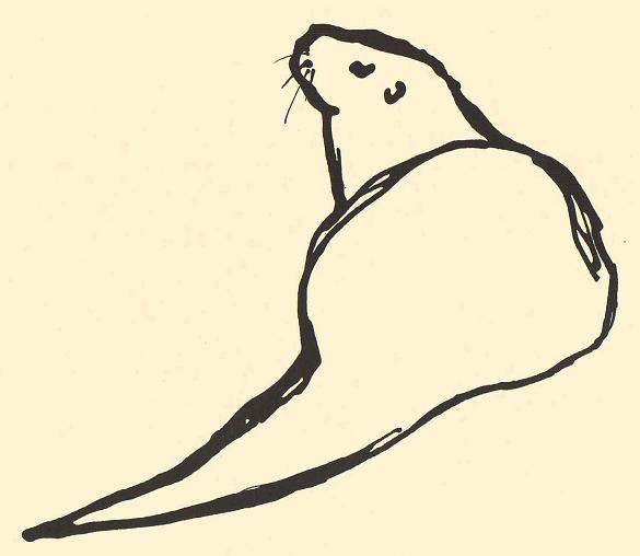 585x508 Otter Drawing Sketch Best Of Ride The Wings Of Morning July