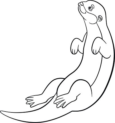401x430 Coloring Little Cute Otter Premium Clipart