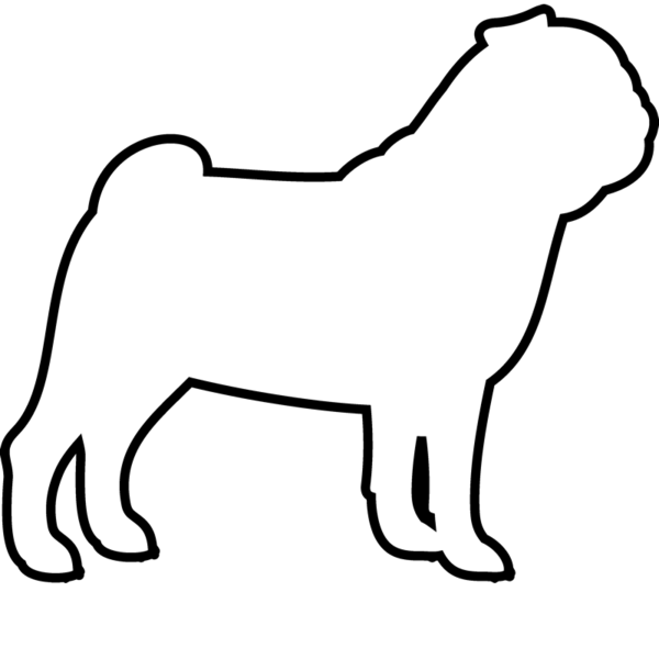 600x600 Vector Fur Draw Animal Transparent Png Clipart Free Download
