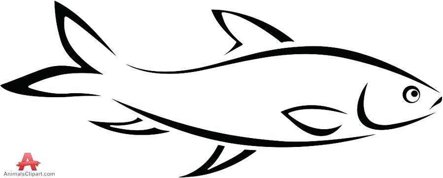 899x361 Illustration Drawing Fish Cartoon Line Font Graphics Fish Outline