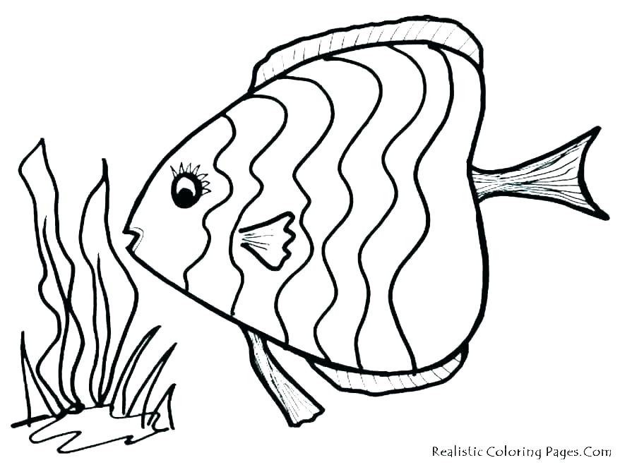 878x659 Coloring Pages Of A Fish Miracle Colouring Pages Fish Color