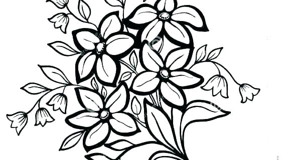 570x320 Flower Outline Printable Coloring