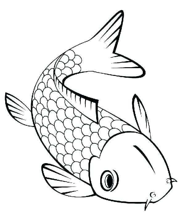 600x707 goldfish outline outline goldfish outline image