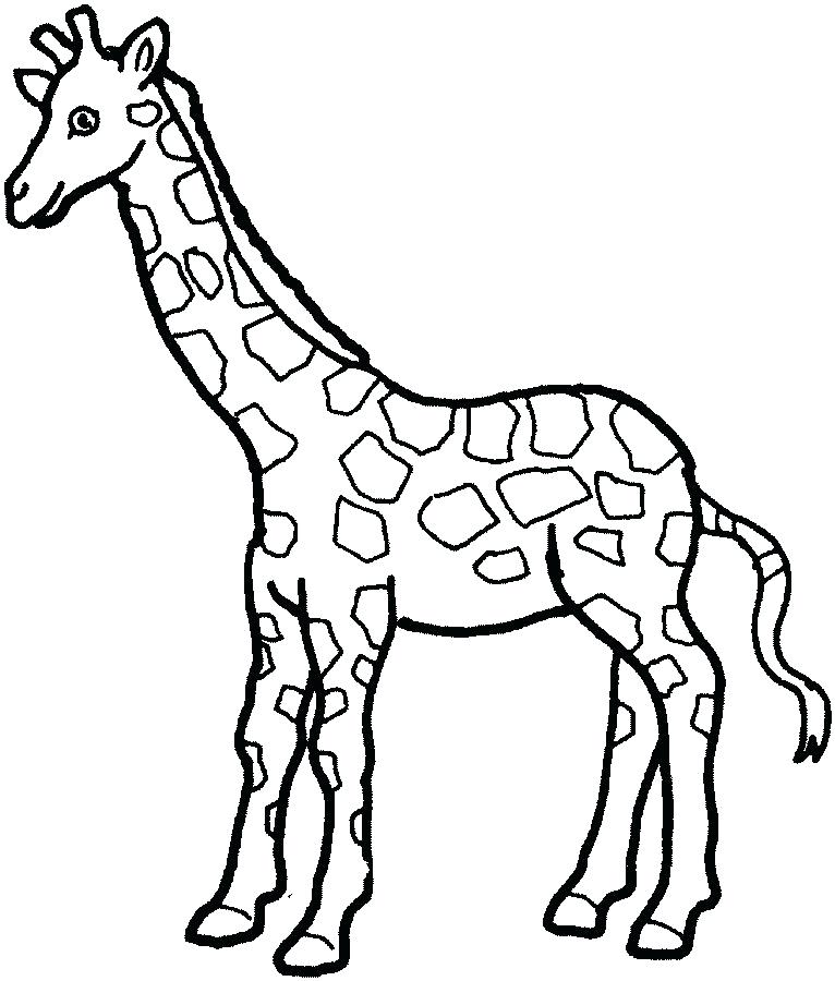 766x900 Outline Of Animals For Colouring Domestic Animals Coloring Pages
