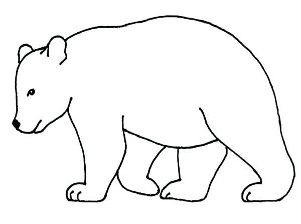 600x446 Bear Outline Bear Outline Colouring Pages