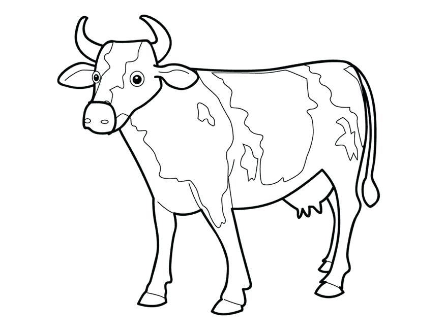 875x656 Outline Of A Cow Simple Cow Outline Coloring Pages For Kids Free