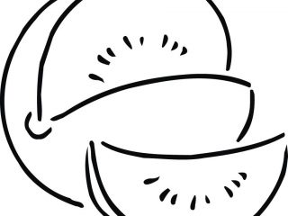 320x240 Outline Pictures For Kids Coloring Sheet Of Melon Outline For Kids