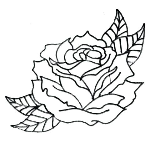 512x473 Rose Drawing Outline Drawings Of Rose Beautiful Scenery Pictures