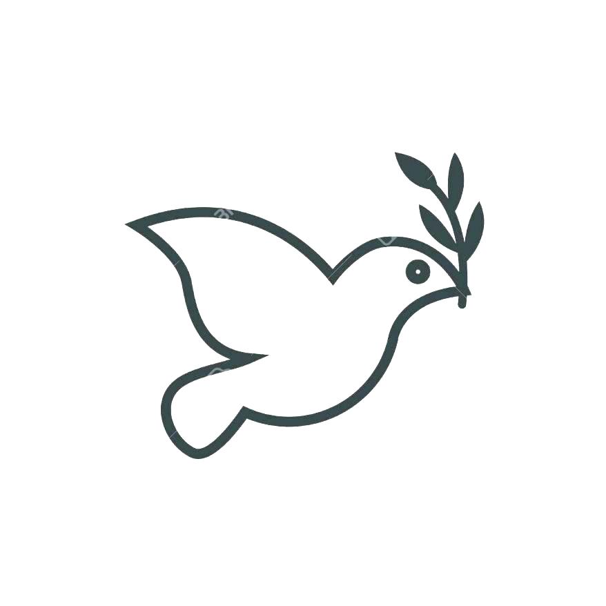 878x878 Dove Bird Flying With Envelope In Sketch Style Outline Or Contour