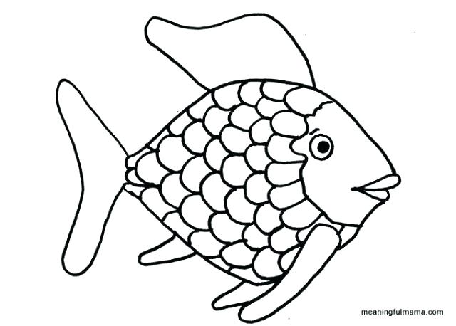 640x458 Fish Outlines Skeleton Art Outline Clip Vector Online