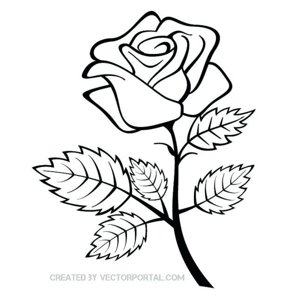 1024x1024 Simple Rose Flower Drawing