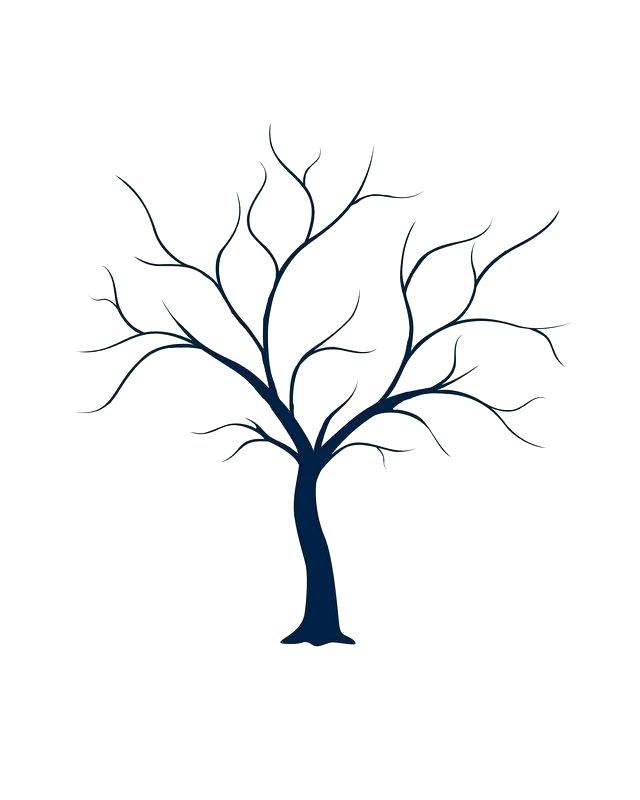 640x800 Tree Outline Printable