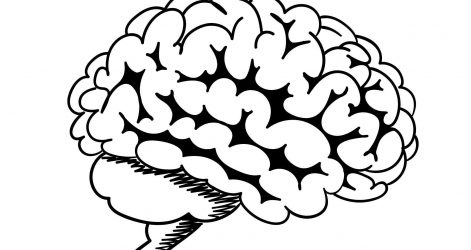 471x250 drawing brain activity outline easy diagram with parts hemisphere