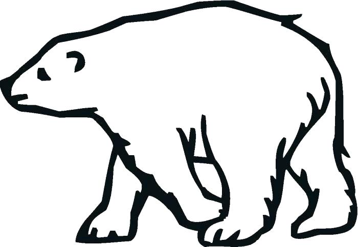 700x484 polar bear outline drawing polar bear outline of a bear license