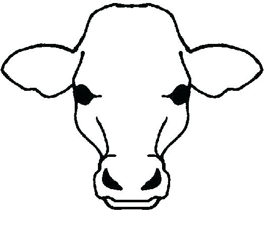 523x448 Cow Outline Free Of A Download Clip Art On Face Person Fact